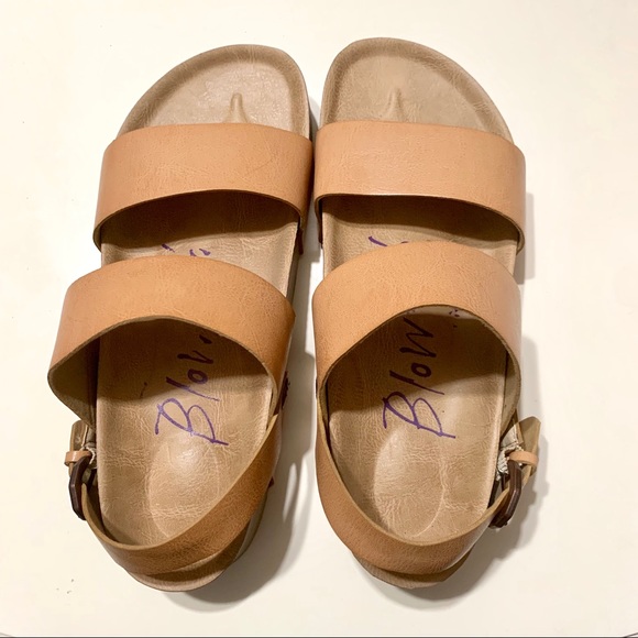 🐡 Blowfish 🐡 - Picture 2 of 7